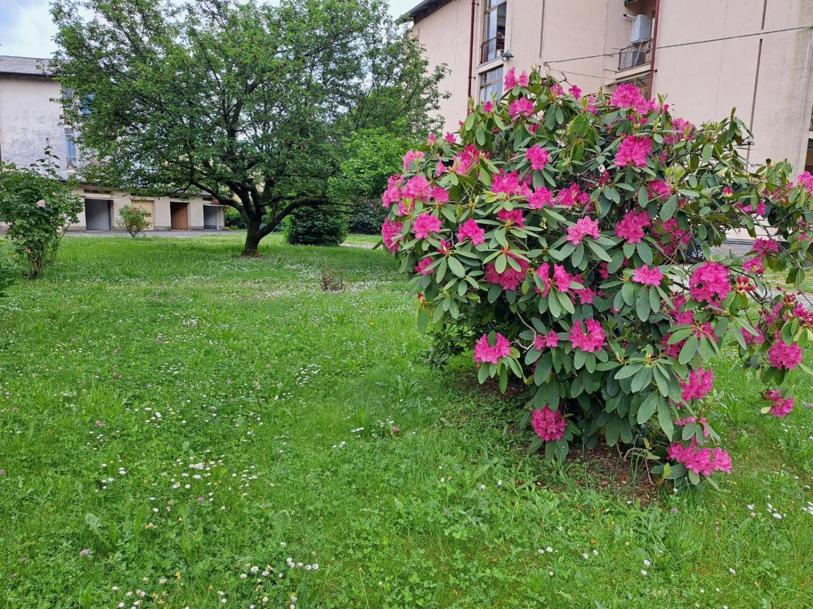 Seraval Valsesia Apartment Serravalle Sesia Zewnętrze zdjęcie