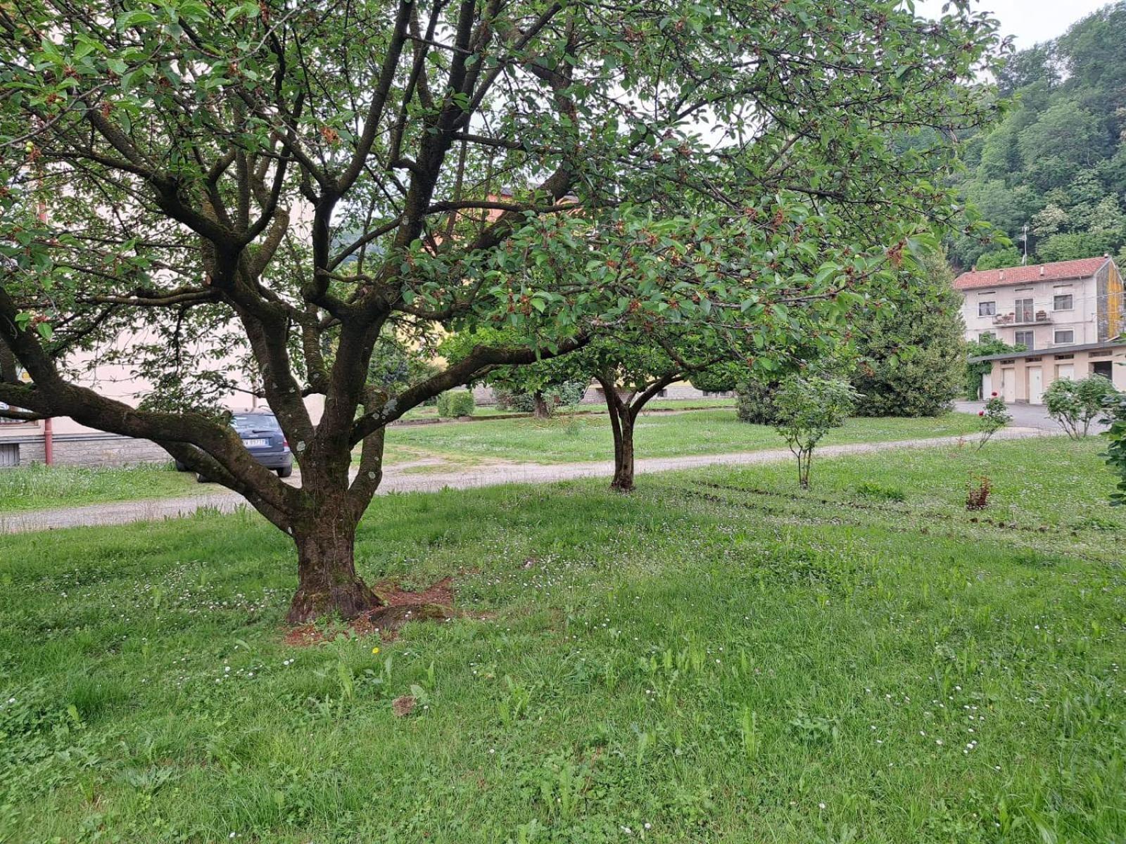 Seraval Valsesia Apartment Serravalle Sesia Zewnętrze zdjęcie